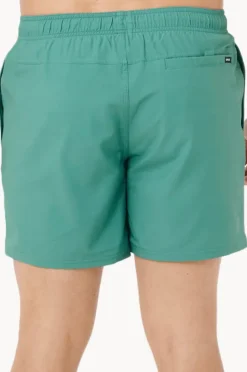 Rip Curl Mens Daily Volley Boardshort