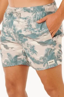 Rip Curl Mens Dreamers Volley Boardshort