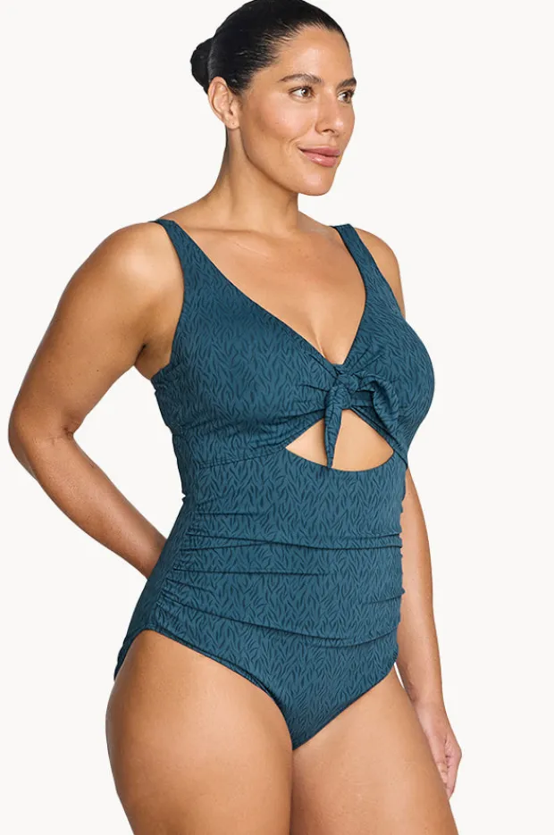 Women Artesands Minque Cezanne D/DD Cup One Piece